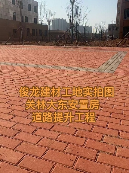 洛阳关林大东安置房 道路提升工程