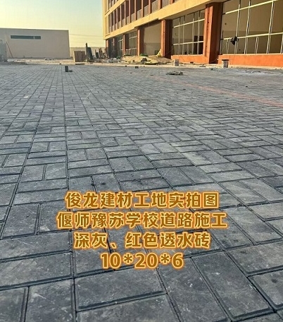 偃师豫苏学校道路施工 深灰、红色透水砖 10*20*6