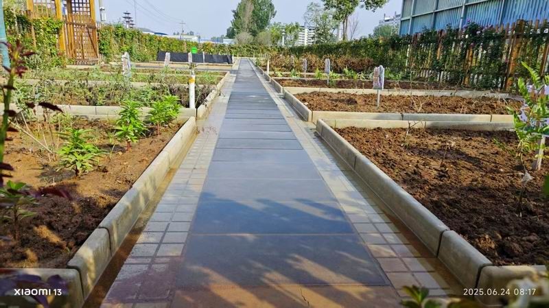 嵩县中心小学研学基地