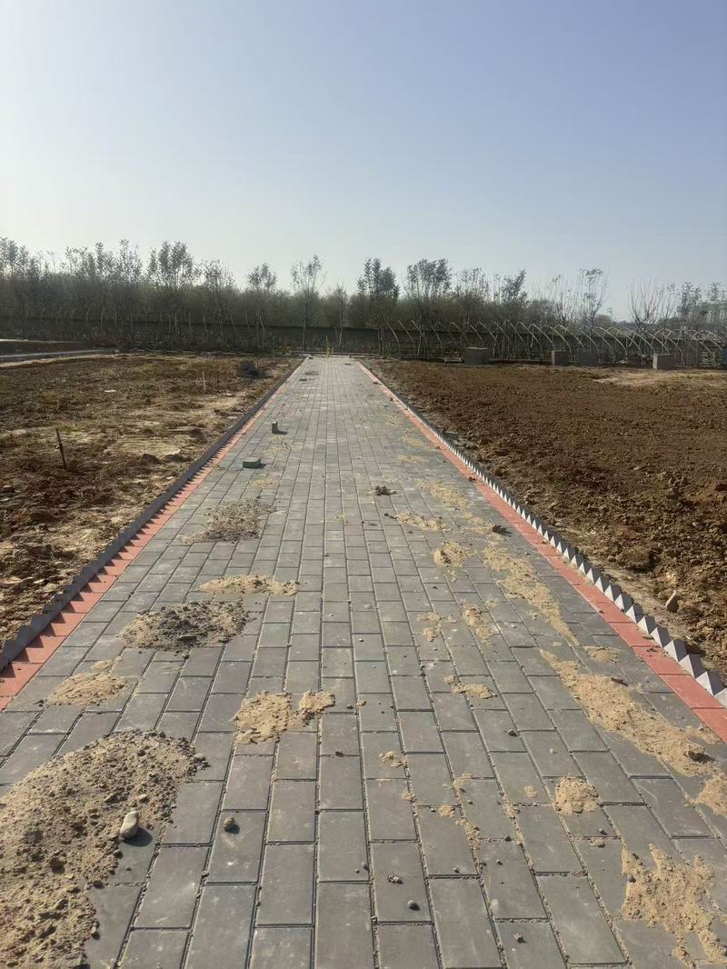 白马寺工地透水砖